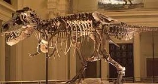 Палеонтолози откриха останки от пернат тиранозавър
