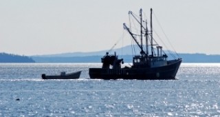 Договори за скрапирането на три риболовни кораба подписа днес ИАРА