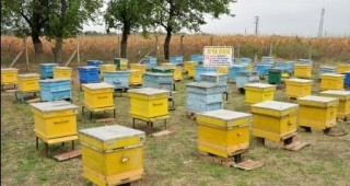 Всички одобрени заявления за подновяване на кошери, отводки и пчелни майки са договорени