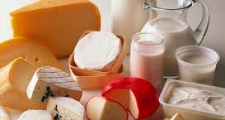 Наредба регламентира разрешените съставки при производството на млечни продукти