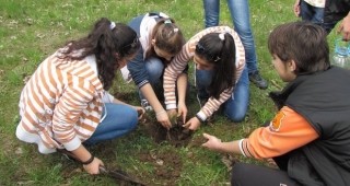 Великотърновски ученици се включиха в засаждането на фиданки по случай Деня на Земята