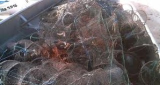 Инспектори на ИАРА Добрич са иззели 300 метра бракониерски мрежи за улов на калкан