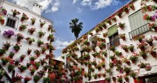 Днес в испанския град Кордоба започва фестивал на цветята