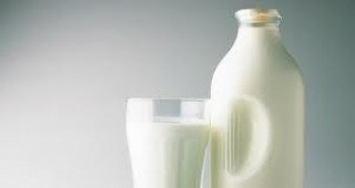 Изкупната цена на млякото в област Благоевград се понижава