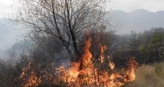 Резултатите по проект за мониторинг на горските пожари ще представят експерти от ИАГ