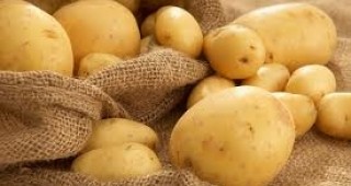 През 2011 година в страната са внесени 1146.29 тона картофи