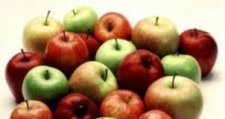 Над 30 тона ябълки дарява земеделец от с. Нова Черна на социални и старчески домове