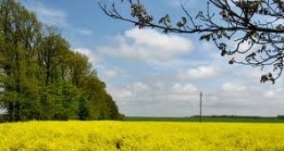 Несигурност за биодизела в ЕС