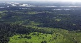 Над 1.5 души от цял свят призоваха в петиция Дилма Русеф да наложи вето над бразилски закон за горите
