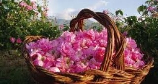 Община Казанлък ще е домакин на бизнес форум на тема продукти от маслодайна роза