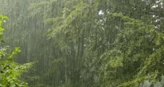 Жълт код за обилни валежи е обявен за 13 области в страната