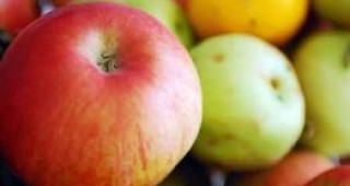 Учени селектираха два сорта ябълки, които не покафеняват