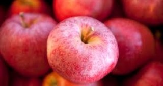 С повече от 30% са поскъпнали ябълките през месец май