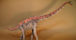 Екип от биолози разработи нова техника за точна оценка на теглото на динозаврите