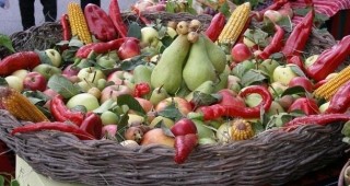 Българските биологични продукти намират добър прием на европейския и световен пазар