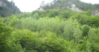 В град Стара Загора ще се проведе първото работно съвещание за управлението на общинските гори