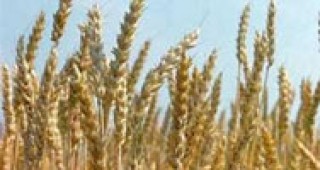 Част от таксите за зърнопроизводителите намаляват