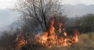 Пожар край тополовградското село Светлина унищожи 300 декара горски площи