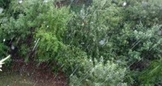 Днес ще бъде предимно облачно с валежи от дъжд, значителни в Рило-Родопската област
