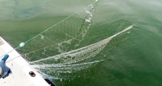 Над 50 любители риболовци са проверени от инспектори на ИАРА Монтана