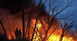 300 домове са опожарени от горския пожар в американския щат Колорадо