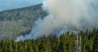 Трети ден продължава гасенето на пожара в резерват Бистришко бранище на Витоша