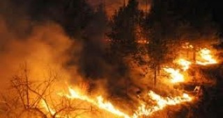 Пожари в испански туристически район до Валенсия