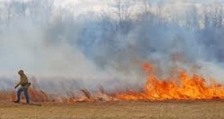300 декара с пшеница изгоряха при пожар в землището на плевенското село Крушовене