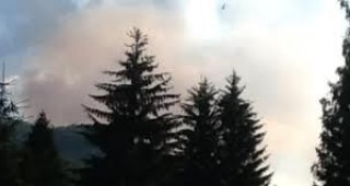 Пожарът на Витоша е овладян в посока към село Бистрица