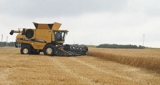 Изкупната цена на пшеницата от новата реколта ще е 400 лв. на тон