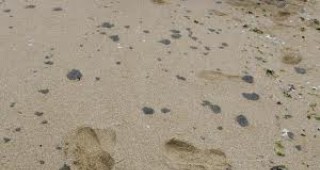 Петна от мазут са открити край плажа на Шкорпиловци