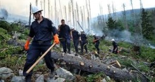 ИАГ ще даде пресконференция, свързана с пожара в резерват Бистришко бранище