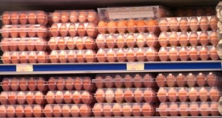 Наблюдава се леко повишение на средната за страната цена на едро на яйцата