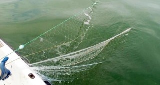 Над 20 любители риболовци са проверени от инспектори на ИАРА Кюстендил
