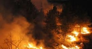 Големите горещини в Босна и Херцеговина предизвикаха множество горски пожари