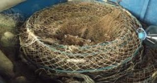 Бракониерски риболовен уред е иззет от инспектори на ИАРА Силистра