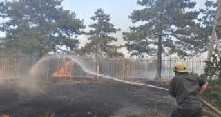 Потушен е пожарът, обхванал над сто декара борова гора във великотърновското село Арбанаси