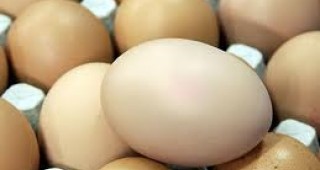 Средните цени на яйцата остават без промяна