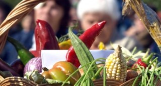 Биохраните остават скъпо удоволствие за българите