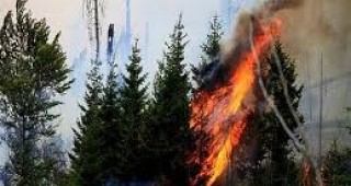 Ликвидирани са 262 пожара в различни райони на страната