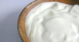 Българско кисело мляко от Смолян стана хит в Китай