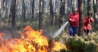 Повече от 10 пожара са били загасени през почивните дни в Ловешка област