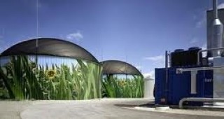 В САЩ насърчават производството на биогорива