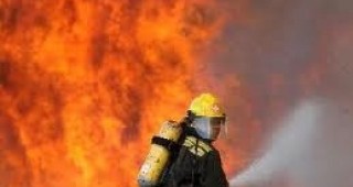 Пожарът в Хасковско е локализиран