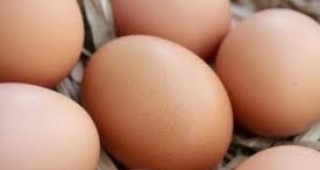 Средните цени на дребно на яйцата остават без промяна