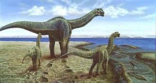 Метеорит с диаметър 5 километра е причината за масовото измиране на динозаврите