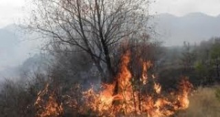 Над 90 горски служители участват в гасенето на пожара в Хасковска област