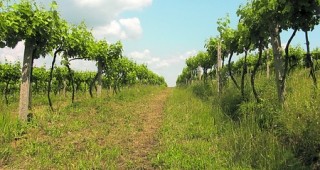 Полска охрана в община Дупница ще пази селскостопанската продукция от посегателства