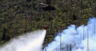 През последното денонощие в страната са погасени 310 пожара