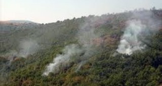 Пожарът в община Белица е овладян